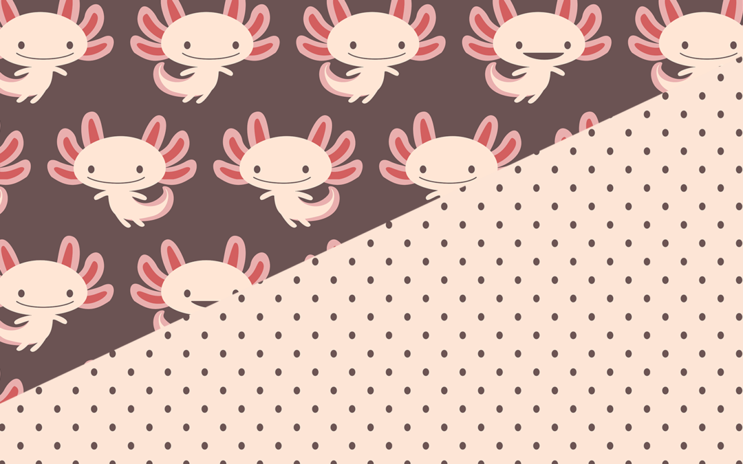 Petits axolotls