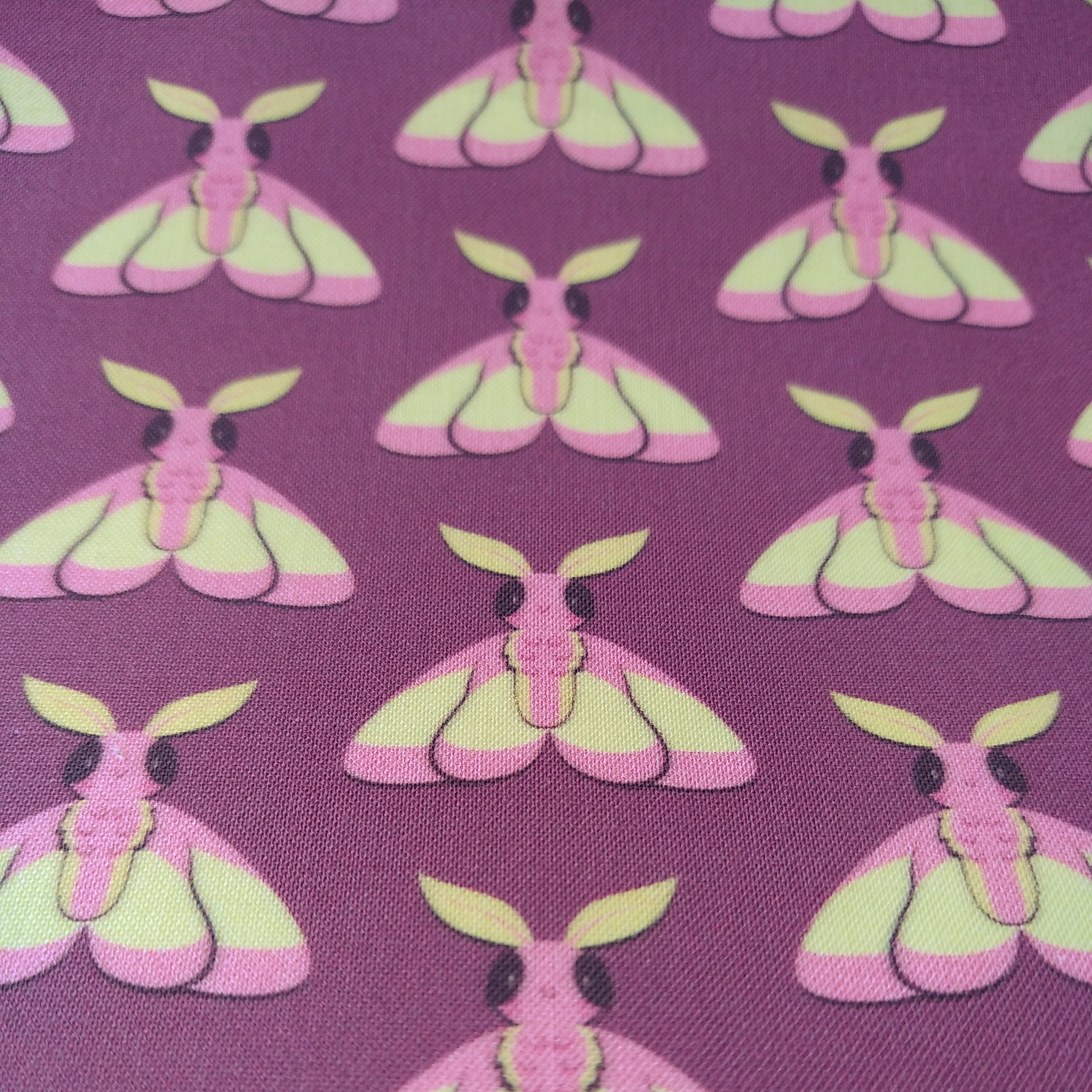 kawaii rosy mapple moth fabric